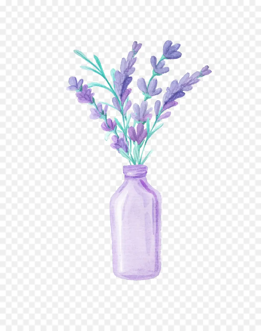 Lavanda，Dibujo PNG