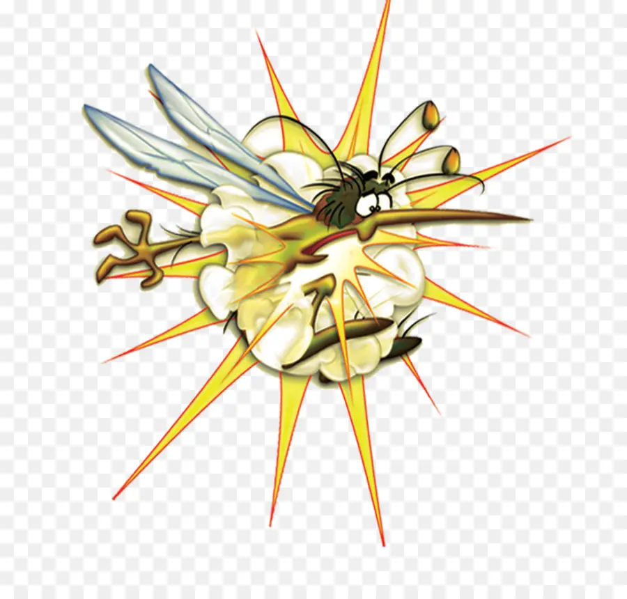 Mosquito De Dibujos Animados，Bicho PNG