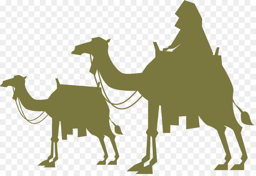 Camellos Con Jinetes，Desierto PNG