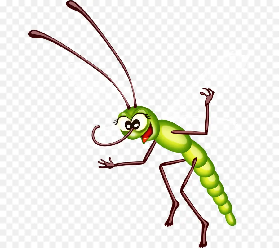 Insecto De Dibujos Animados，Antenas PNG