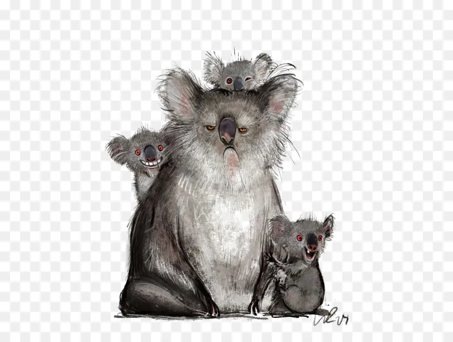 Familia De Koalas，Dibujos Animados PNG