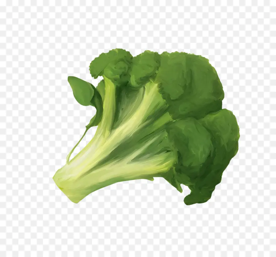 Vegetal，Brócoli PNG