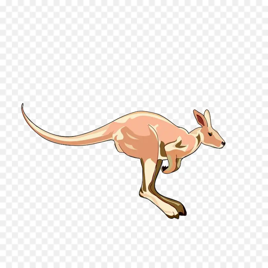 Canguro，Marsupial PNG