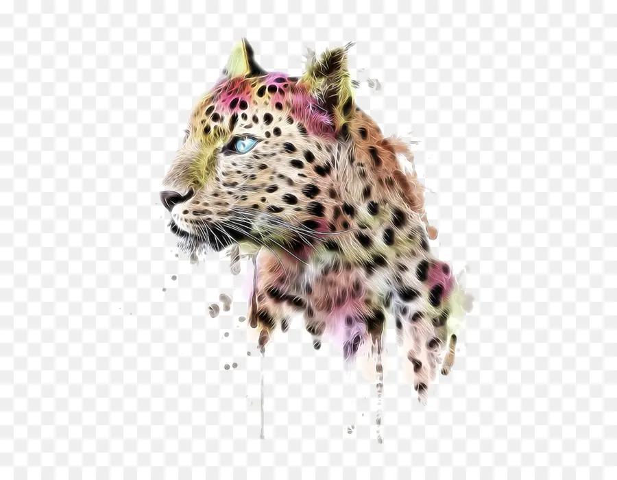 Leopardo Colorido，Animal PNG