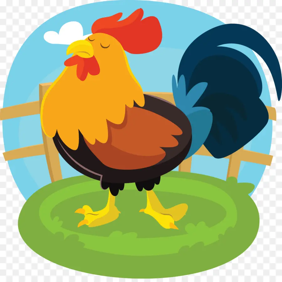 Pollo，Gallo PNG