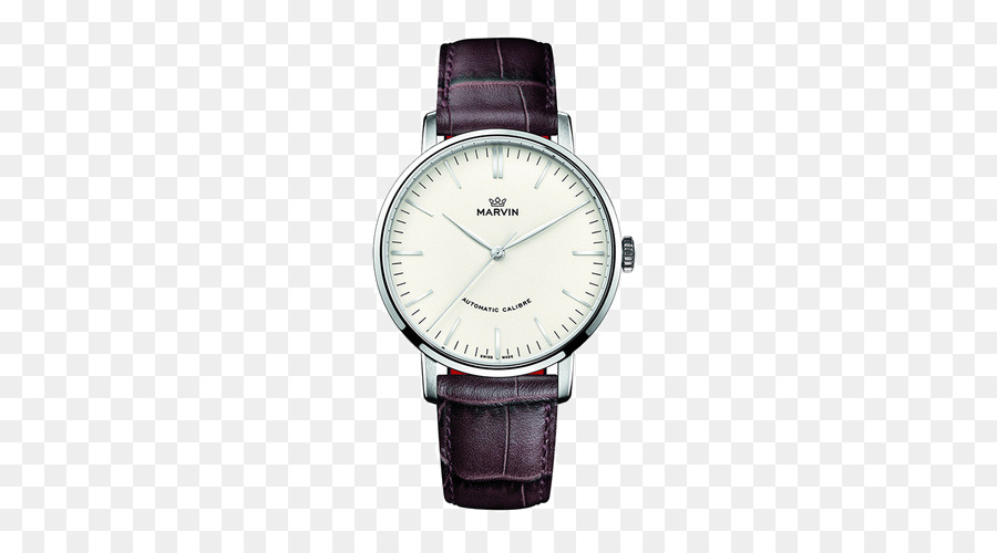 Reloj De Pulsera，Mirar PNG