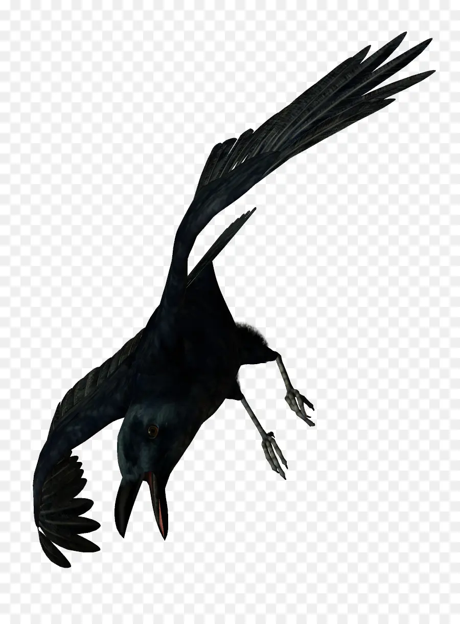 Pájaro Negro，Vuelo PNG