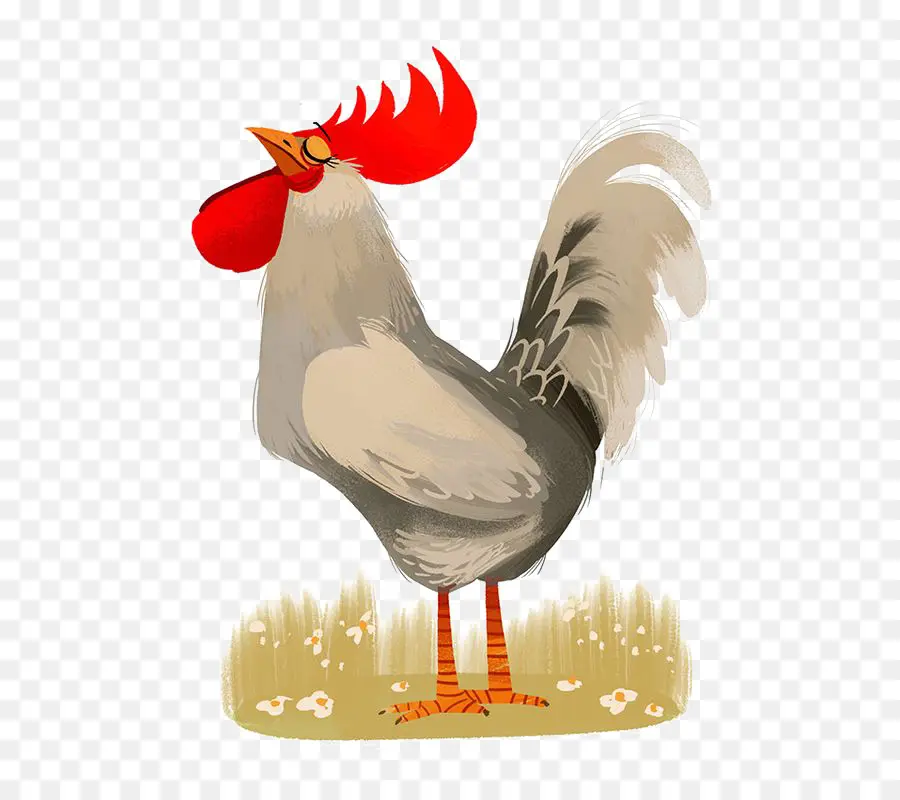 Gallo，Peine Rojo PNG