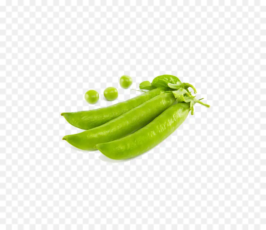 Pea，Vegetal PNG