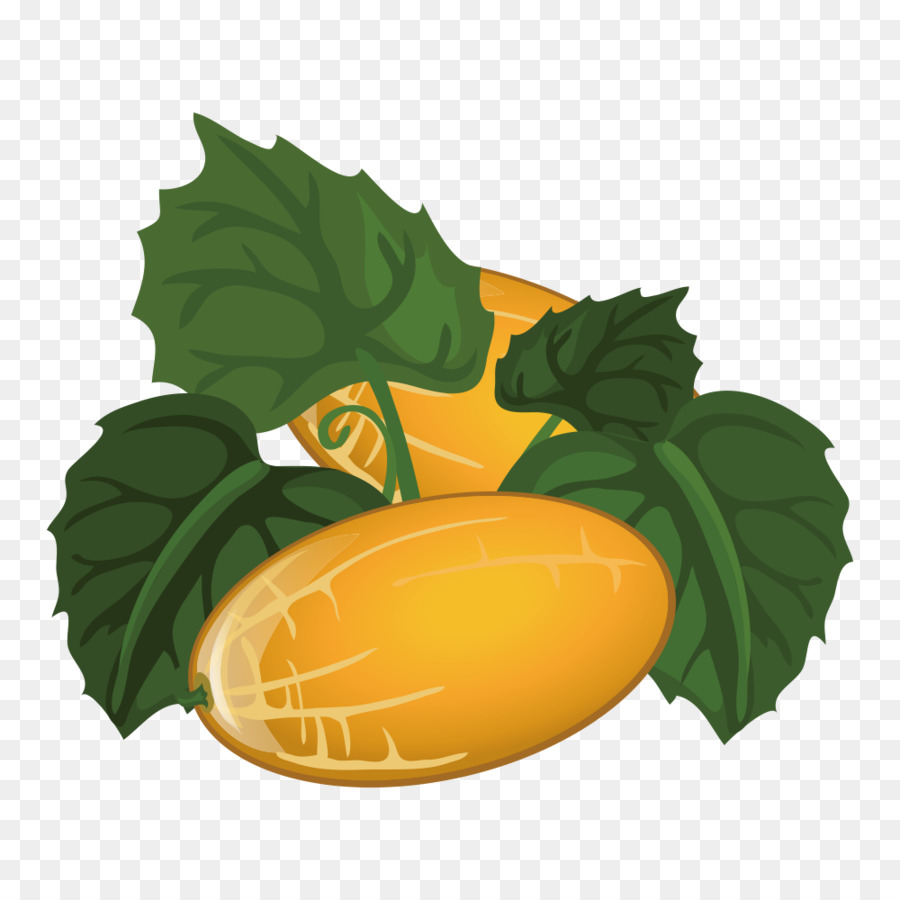 Melón，La Fruta PNG