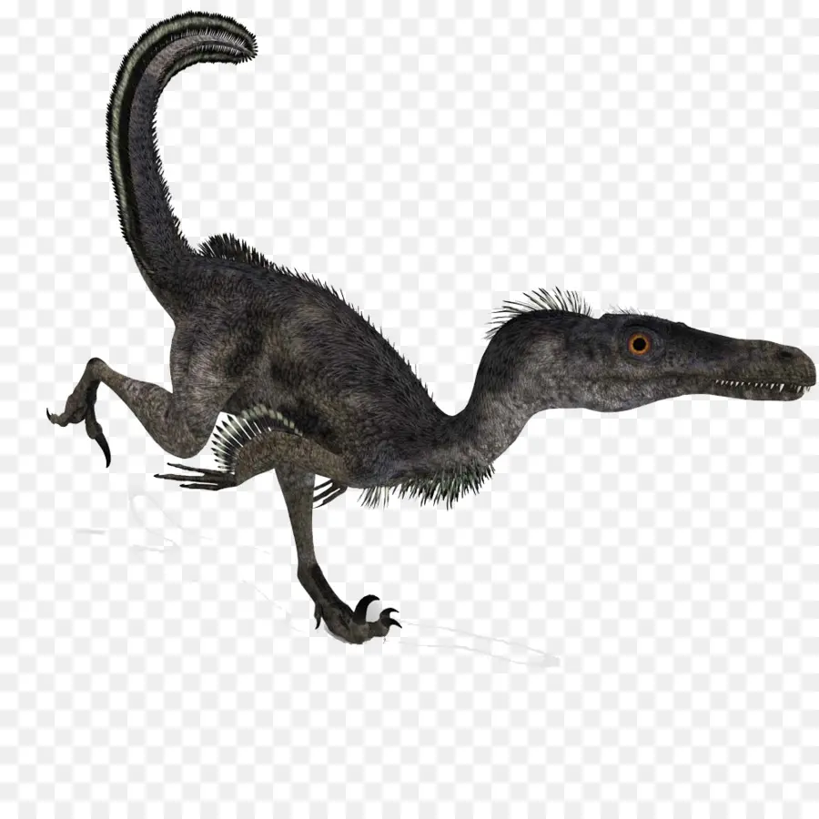 Velociraptor，Deinonychus PNG