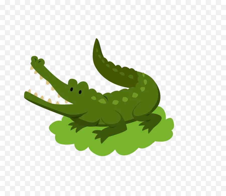 Cocodrilo，Los Cocodrilos PNG