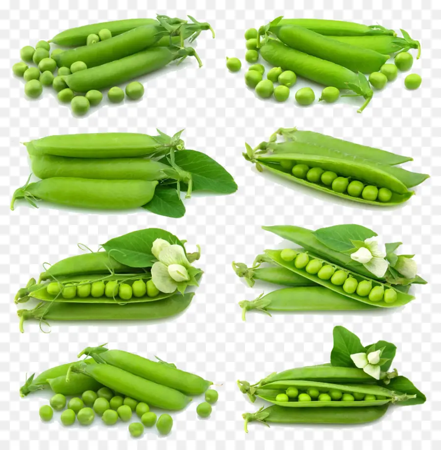 Guisantes，Snow Pea PNG