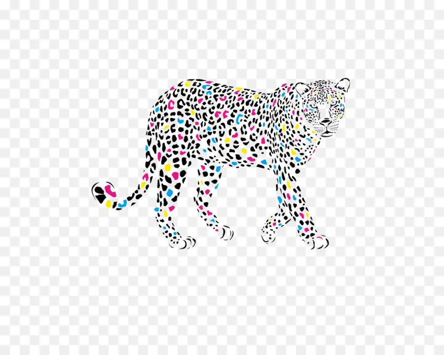 Leopardo，Puma PNG