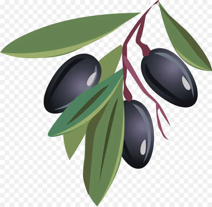 Aceitunas Negras，Rama PNG