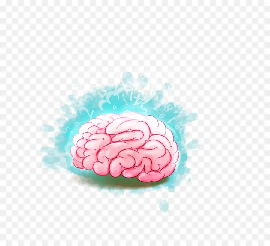 Experimento，Cerebro PNG