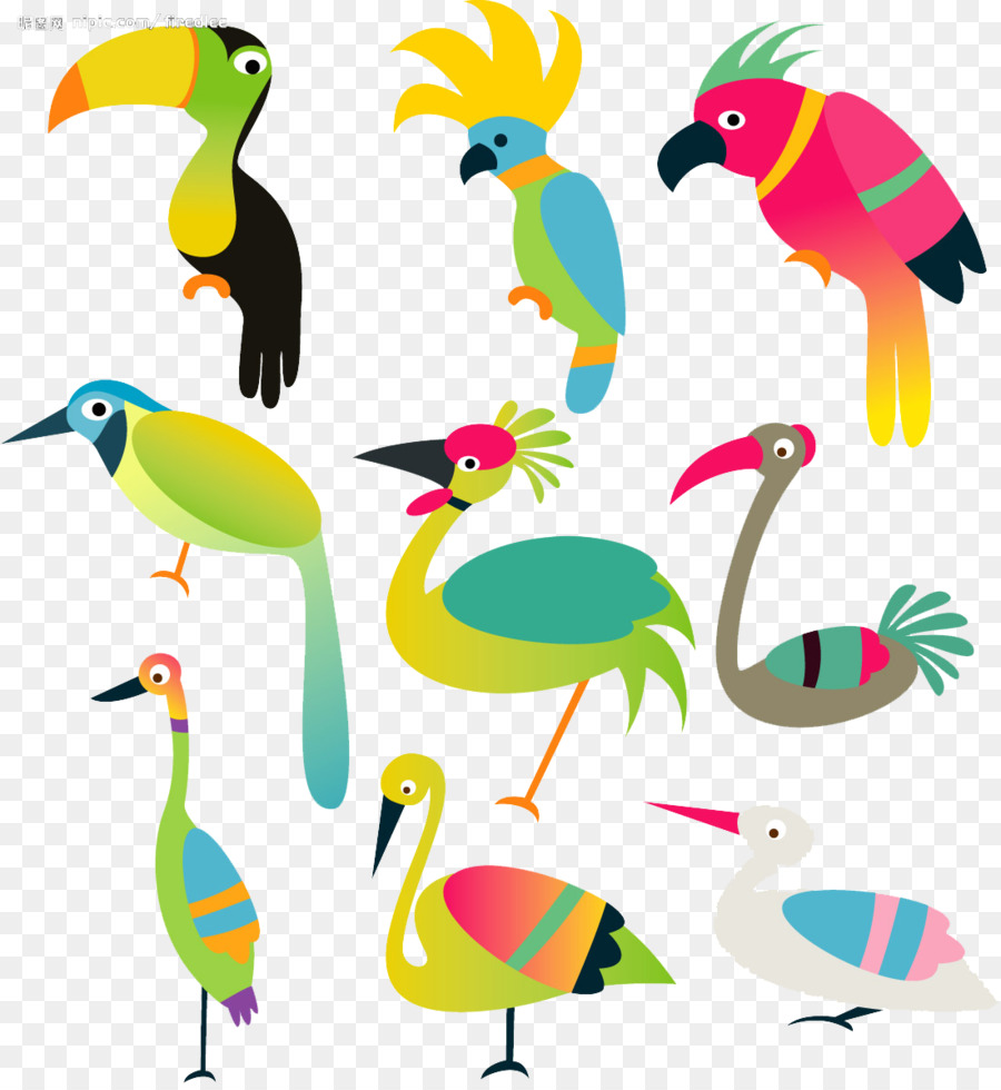 Aves，Dibujos Animados PNG