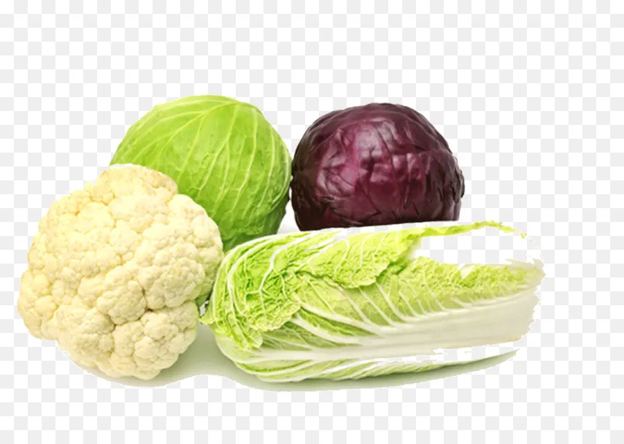 Verduras，Repollo PNG