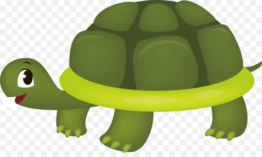 Tortuga，Tortuga De Mar PNG