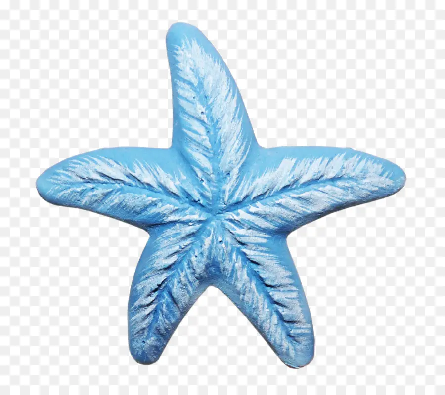 Estrella De Mar Azul，Marina PNG