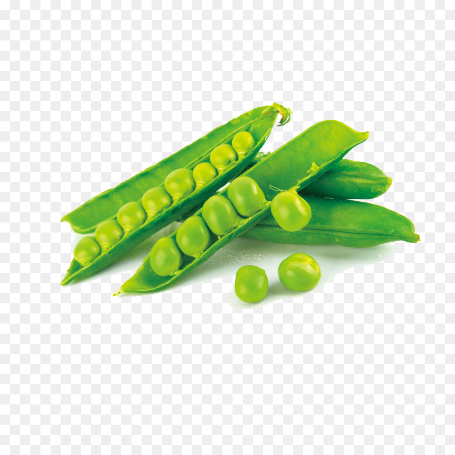 Guisantes，Pea PNG