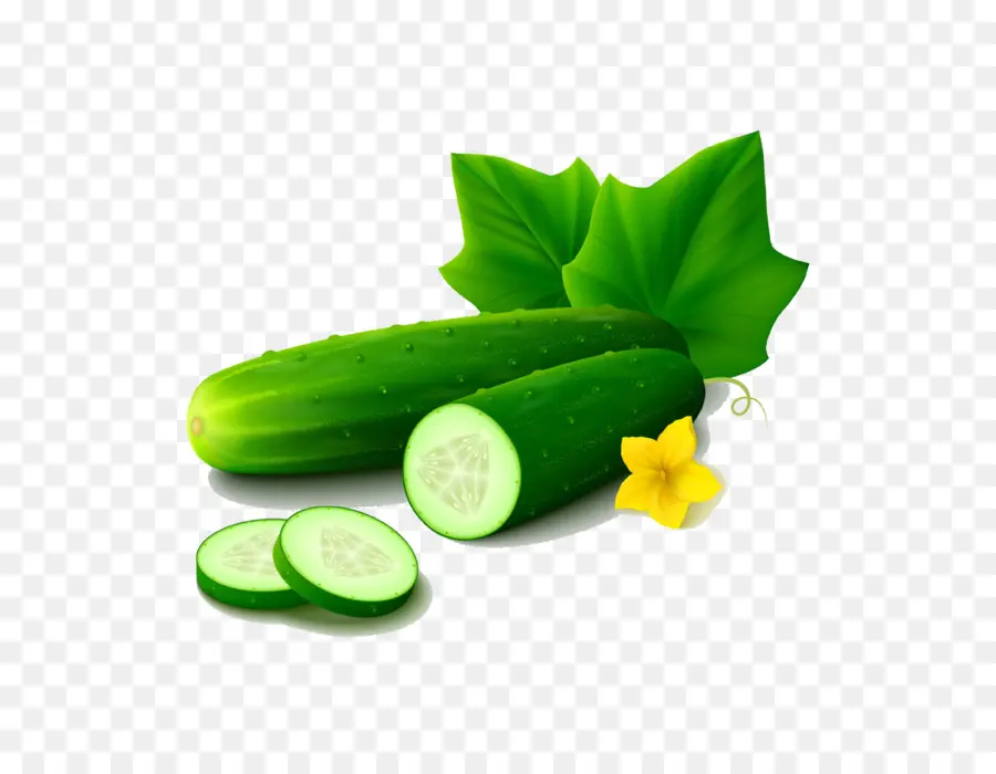 Pepino，Vegetal PNG