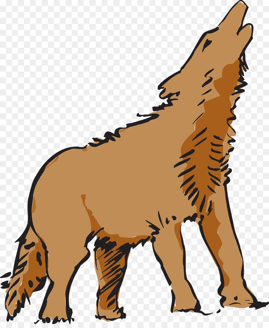 Perro，Coyote PNG