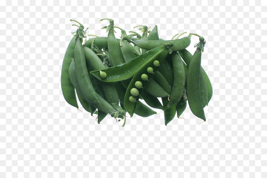 Snow Pea，Vegetal PNG