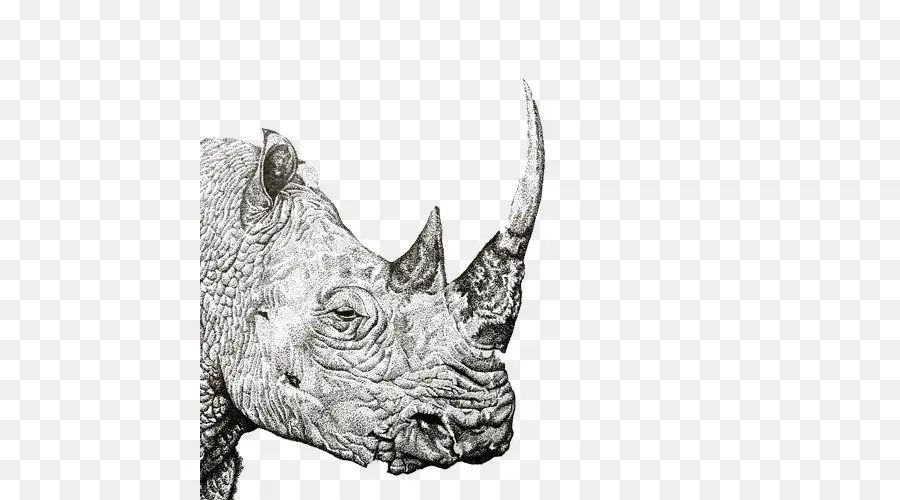 El Rinoceronte，La Lectura PNG