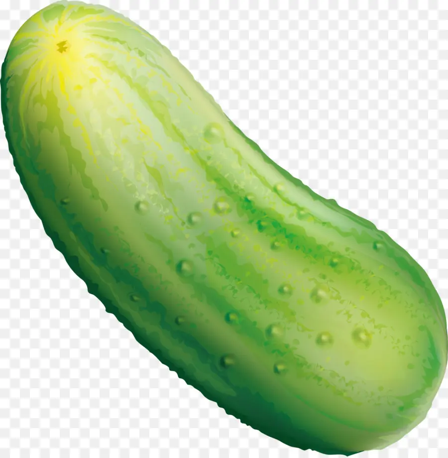 Pepino，Pepino Encurtido PNG