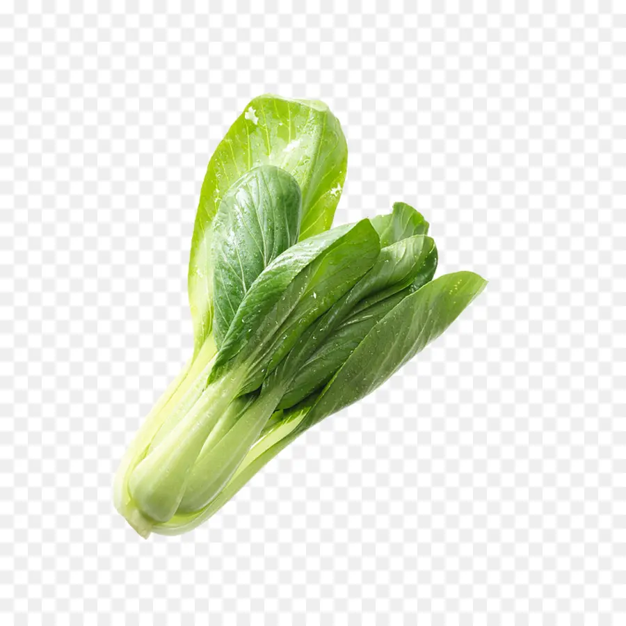 Lechuga De Napa，Lechuga Romana PNG