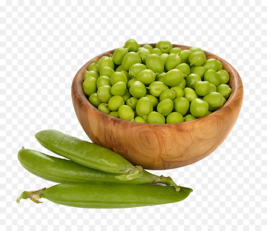 Pea，El Frijol Común PNG