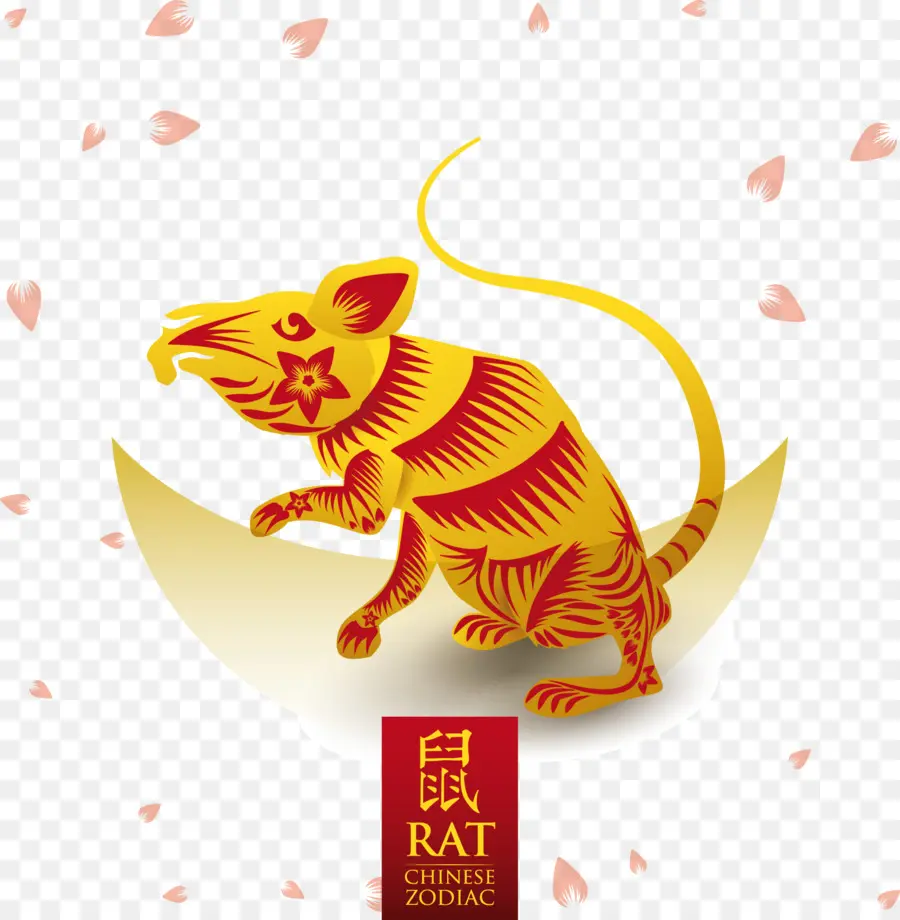 Rata，Ratón PNG