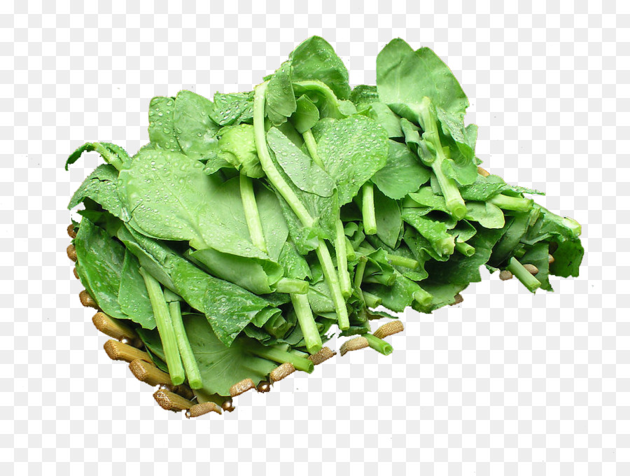 Pea，Lechuga Romana PNG