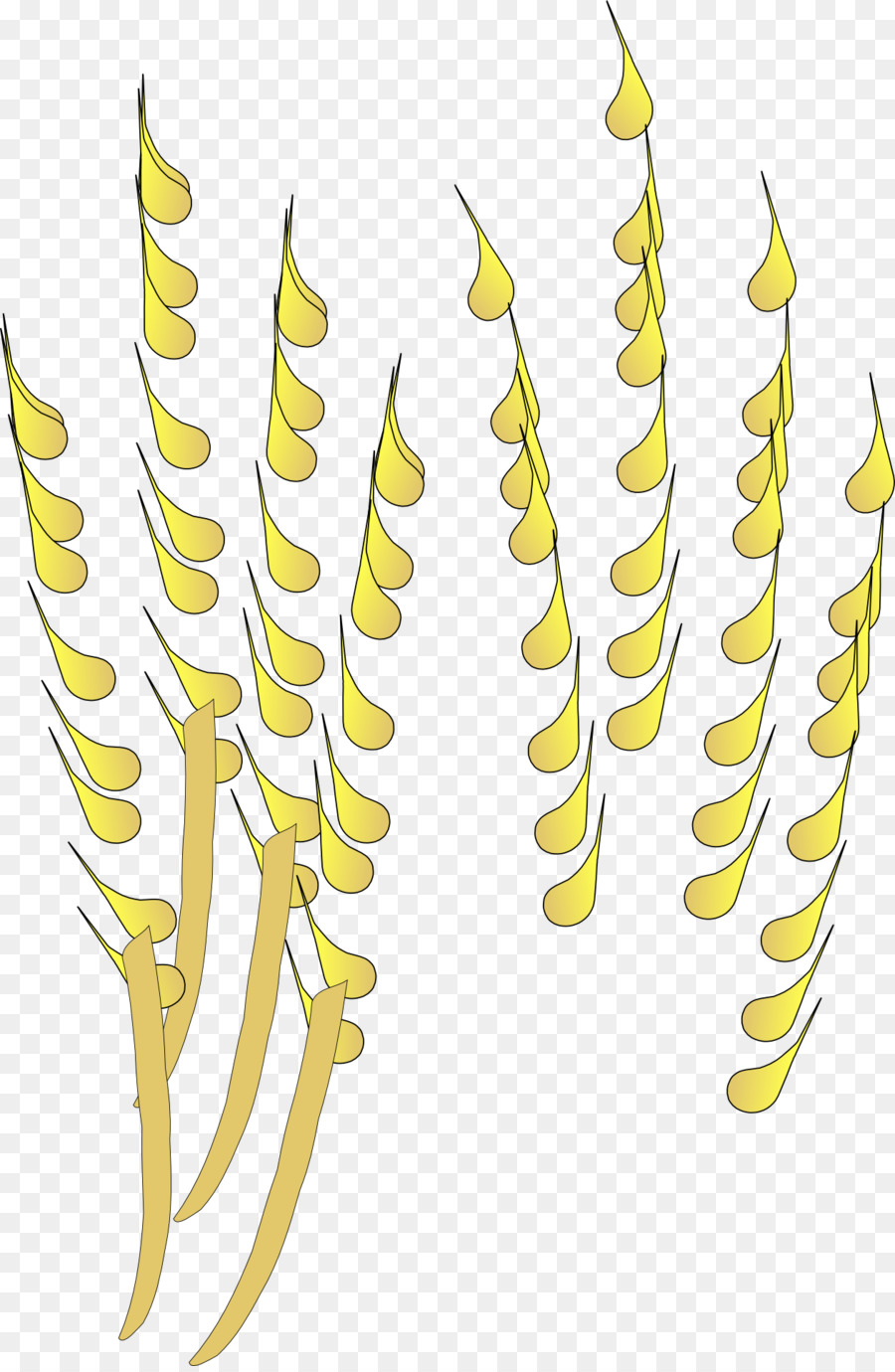 Trigo，Cereal PNG