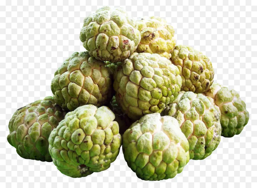 Sugarapple，Custardapple PNG