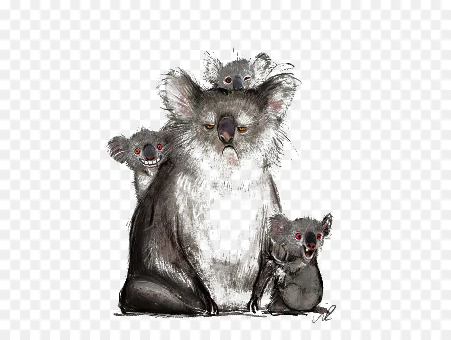 Familia De Koalas，Dibujos Animados PNG