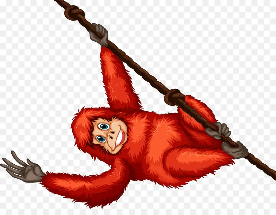 Mono，Orangután PNG