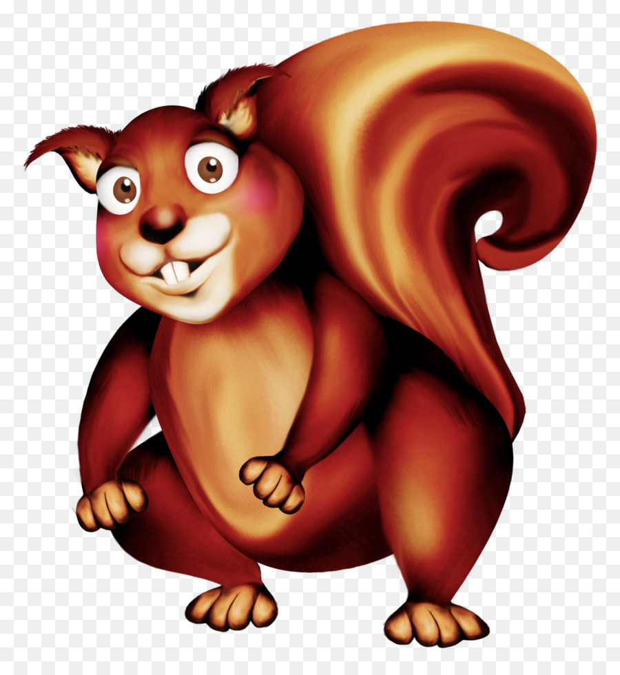 Ardilla，Oso PNG