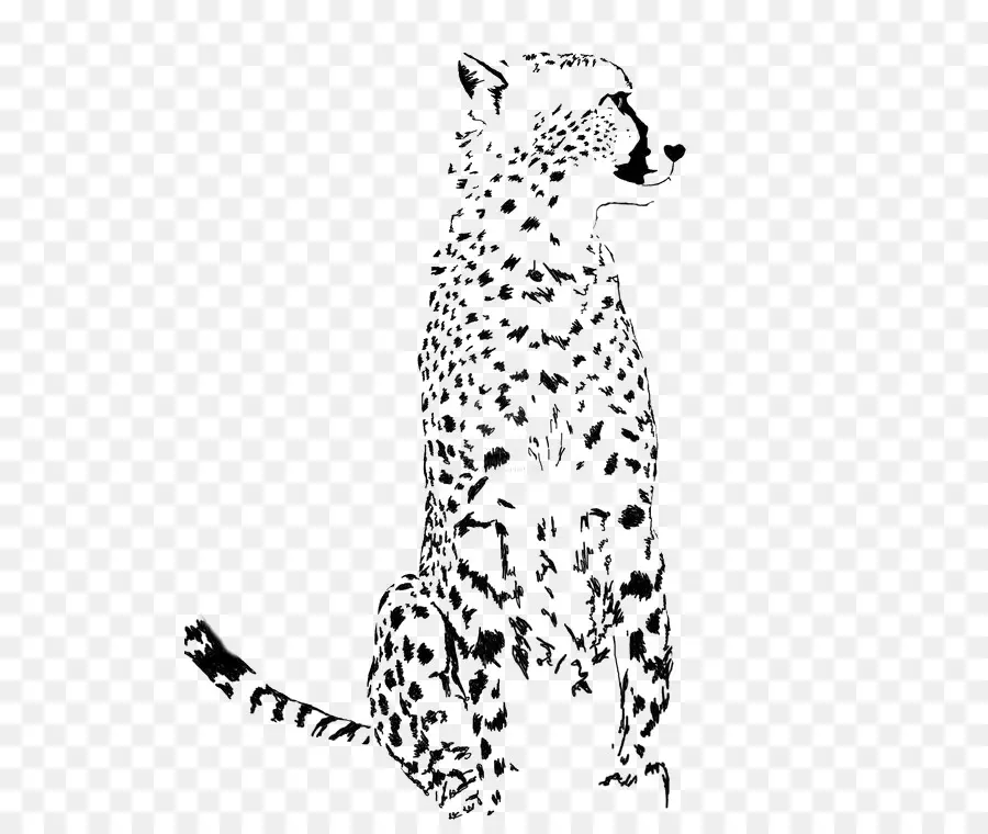 Perro Dálmata，Leopard PNG