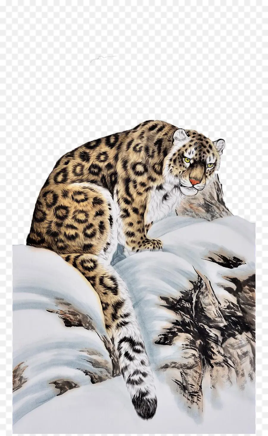 Tigre，Leopardo PNG