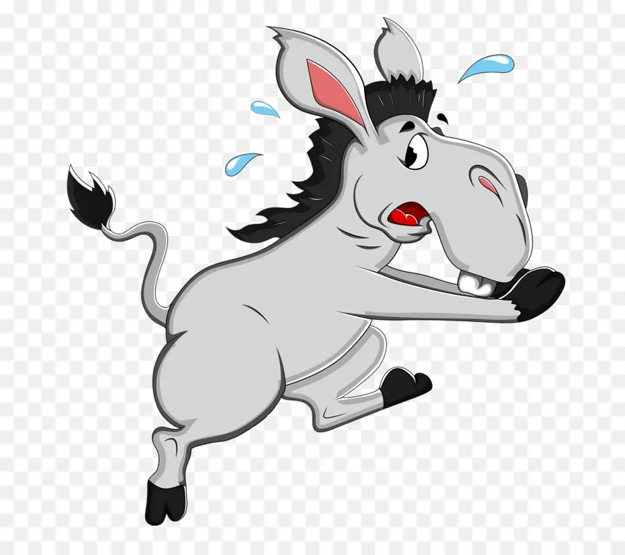 Burro，Dibujos Animados PNG