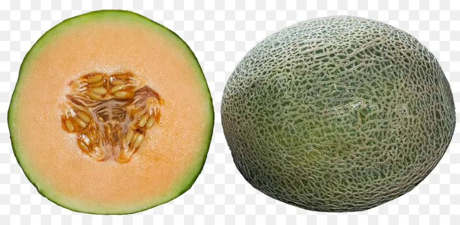 Melón，Melón Galia PNG