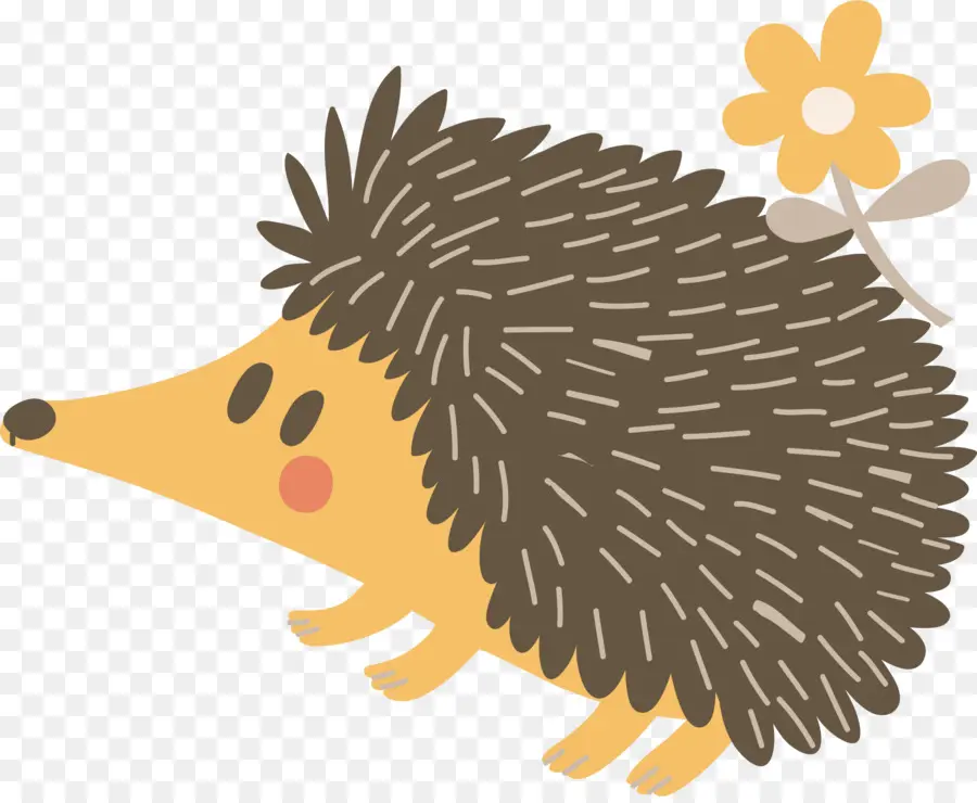 El Erizo，Porcupine PNG