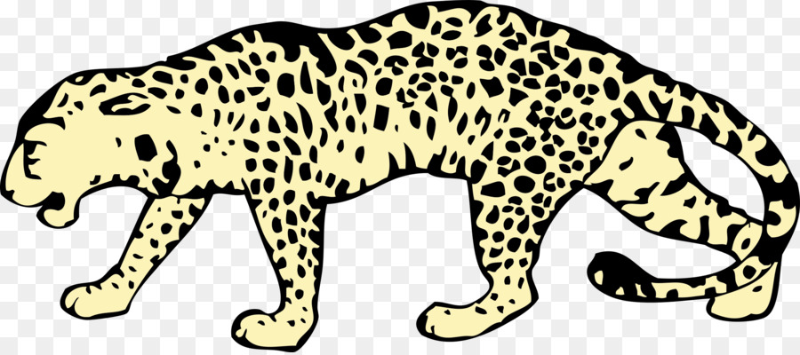 Leopardo，Salvaje PNG