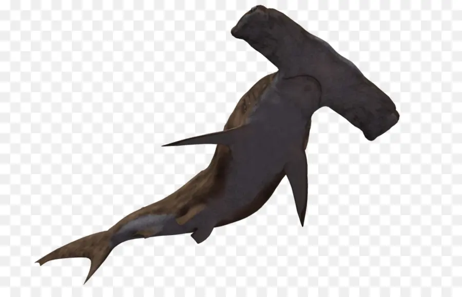 Tiburón，Tiburón Martillo PNG