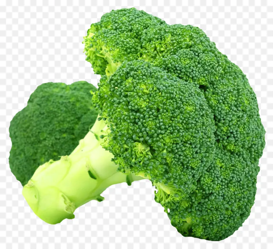 Brócoli，Vegetal PNG