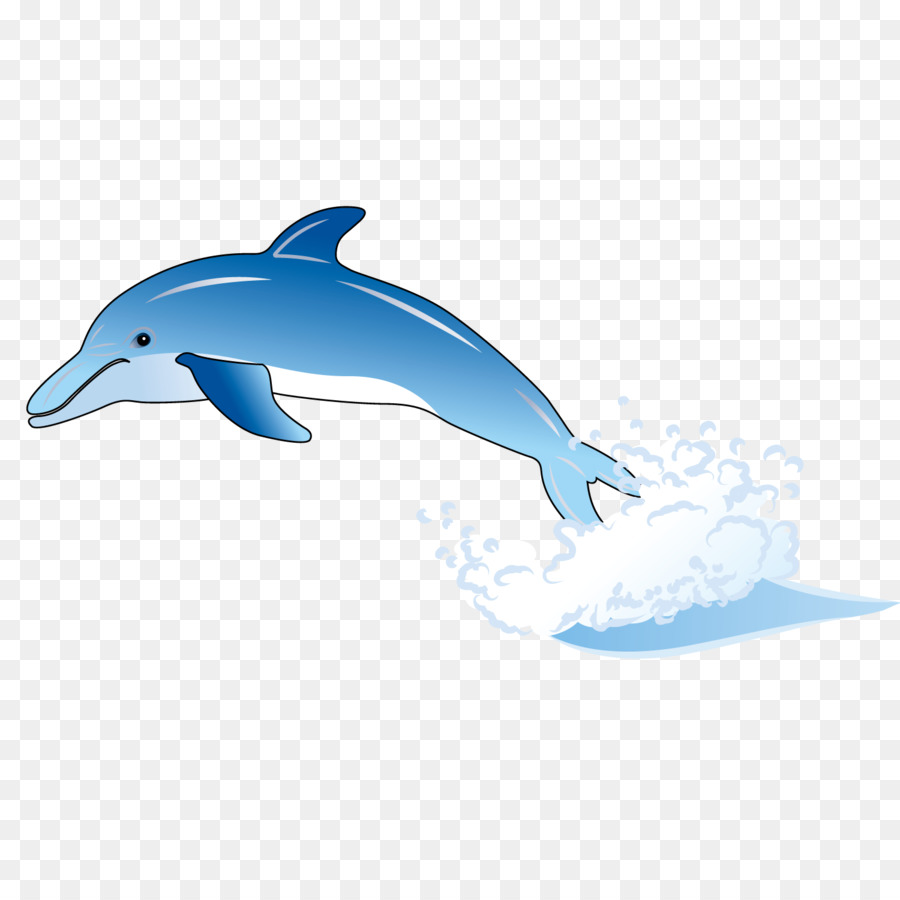 Delfines De Dibujos Animados，Marina PNG