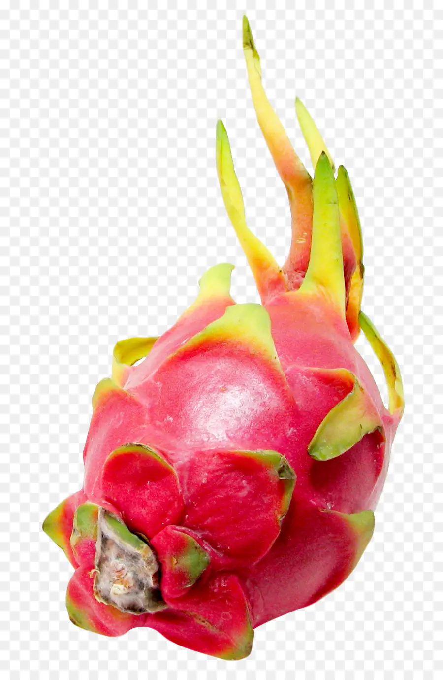 Jugo，La Pitaya PNG