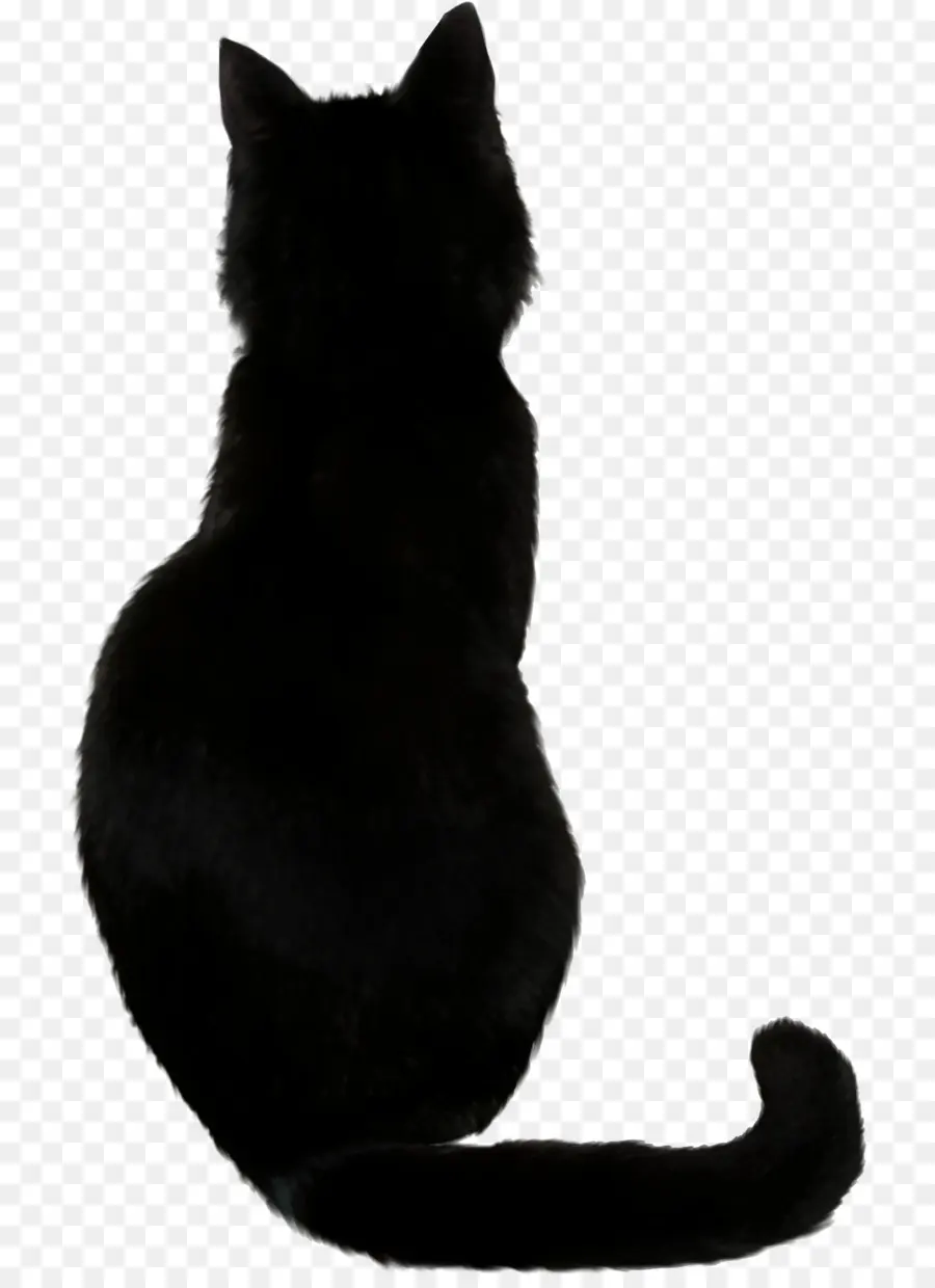 Gato Negro，Mascota PNG